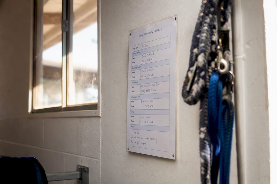 Every field your horse emergency contacts sheet needs