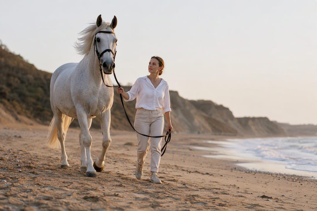 A phased training plan for horses that actually builds fitness