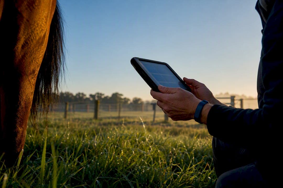 Offline First Rural Stable Connectivity for Australia: Free Trial