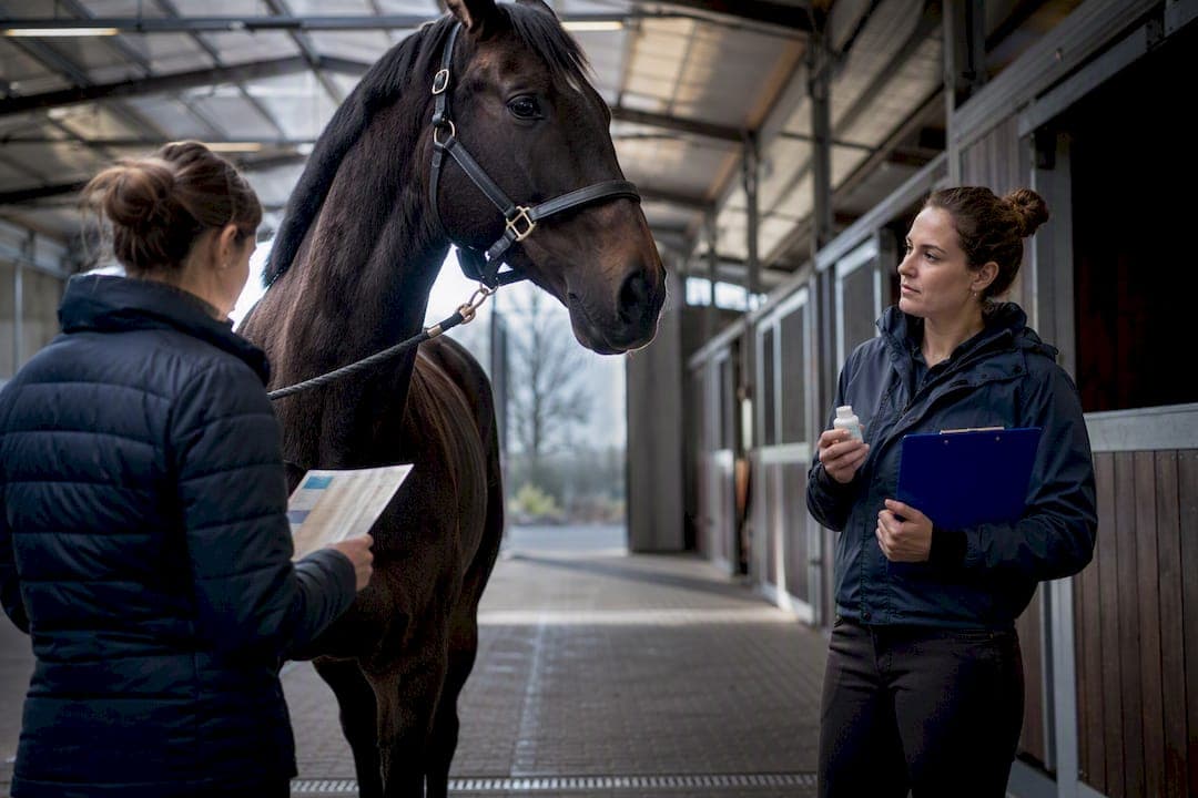 Yard Operators: 6 Roles to Fix Multi-Owner Horse Management in a Month