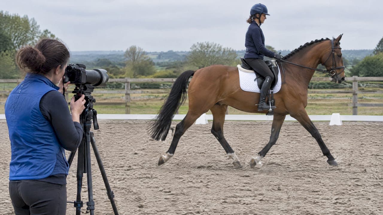 Horse Frame Rates 60–1,000 Hz for Researchers, Vets & Photographers