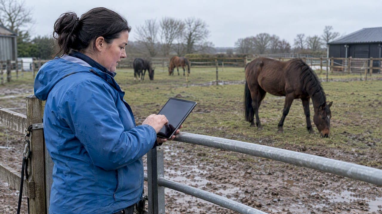 Yard Benchmarking: Start With a Week of Horse Data at Pro Yards