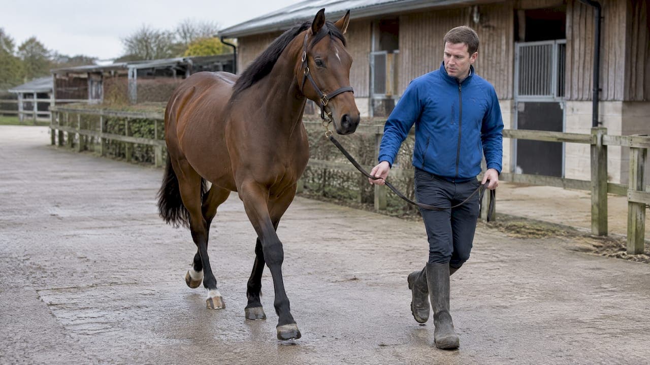 Baseline Soundness Tracking for Horses: A Practical Guide
