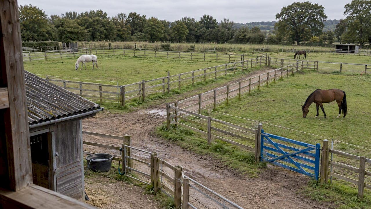 Paddock Boundaries Mapping: A Practical Guide for Horse Yards