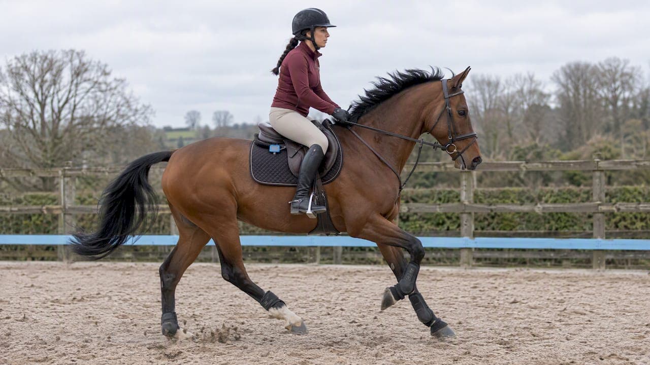 GPS Intervals for Horses: How to Plan, Time and Review Them