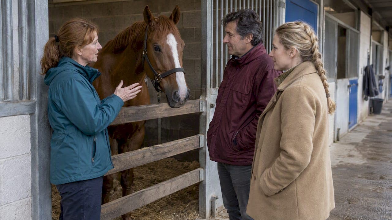 Horse Syndicate Management: Running a Syndicate Properly
